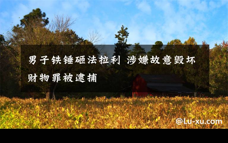 男子铁锤砸法拉利 涉嫌故意毁坏财物罪被逮捕