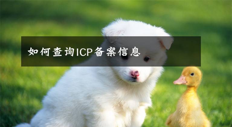 如何查询ICP备案信息