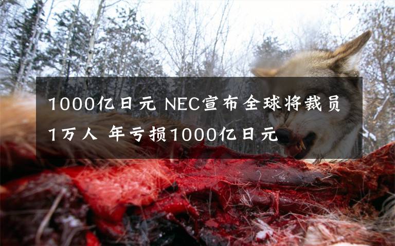 1000亿日元 NEC宣布全球将裁员1万人 年亏损1000亿日元