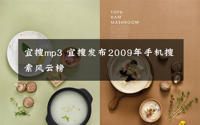 宜搜mp3 宜搜发布2009年手机搜索风云榜