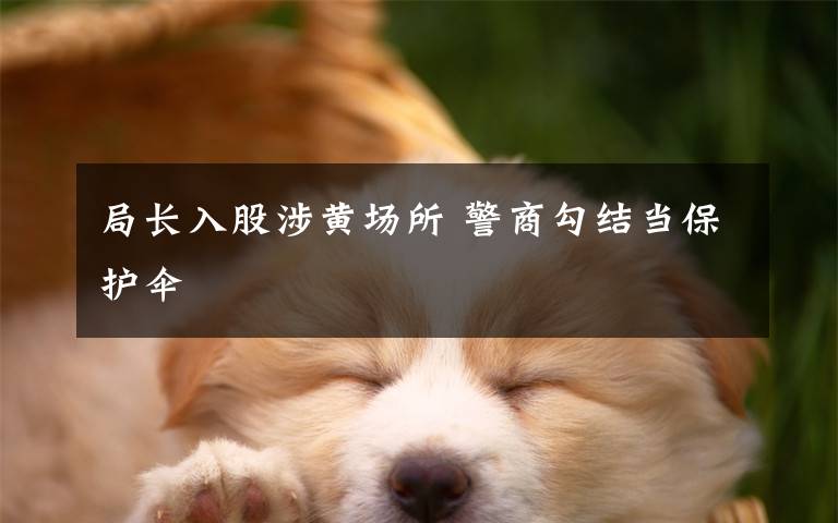 局长入股涉黄场所 警商勾结当保护伞