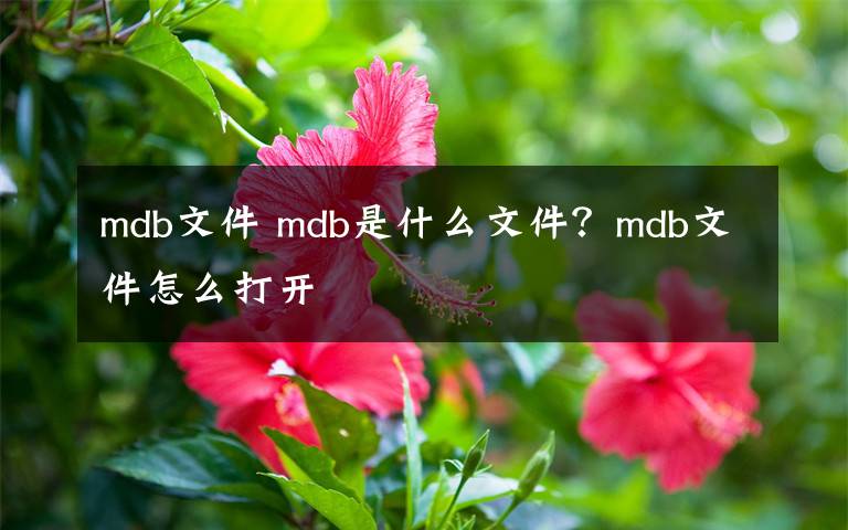 mdb文件 mdb是什么文件？mdb文件怎么打开