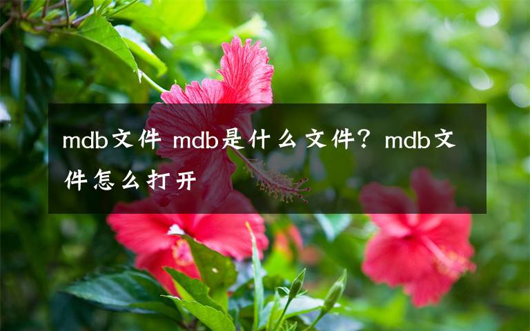 mdb文件 mdb是什么文件？mdb文件怎么打开