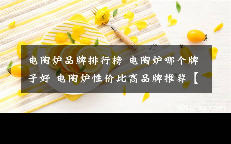 电陶炉品牌排行榜 电陶炉哪个牌子好 电陶炉性价比高品牌推荐【详细分析】