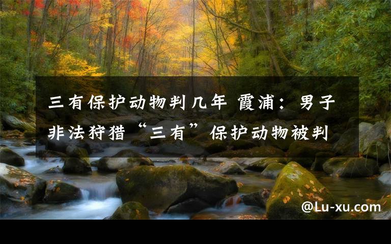 三有保护动物判几年 霞浦：男子非法狩猎“三有”保护动物被判刑