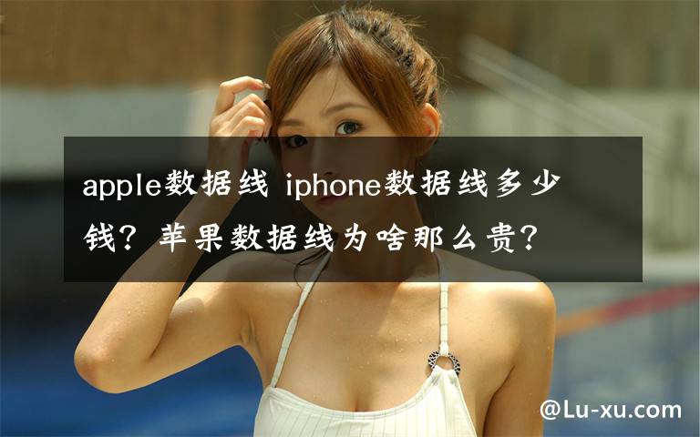 apple数据线 iphone数据线多少钱？苹果数据线为啥那么贵？