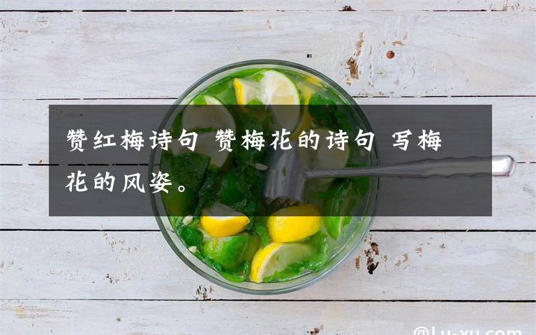 赞红梅诗句 赞梅花的诗句 写梅花的风姿。