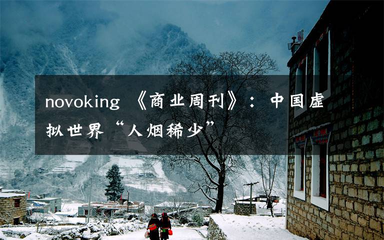 novoking 《商业周刊》：中国虚拟世界“人烟稀少”