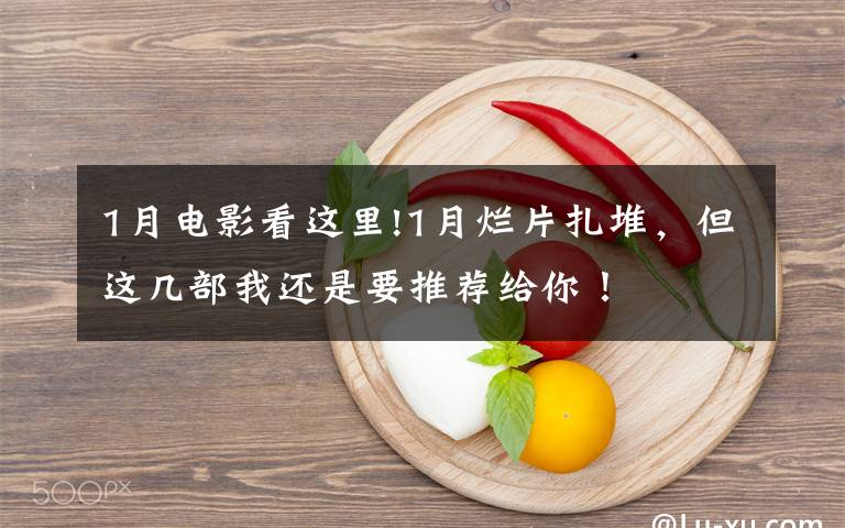 1月电影看这里!1月烂片扎堆，但这几部我还是要推荐给你！