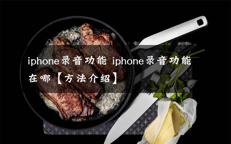 iphone录音功能 iphone录音功能在哪【方法介绍】