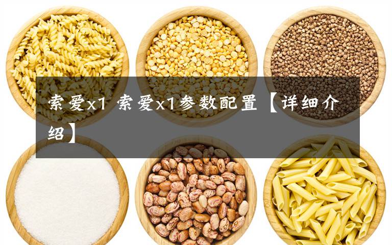 索爱x1 索爱x1参数配置【详细介绍】