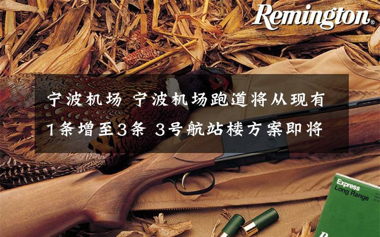 宁波机场 宁波机场跑道将从现有1条增至3条 3号航站楼方案即将启动