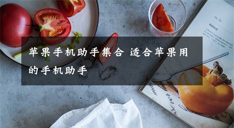 苹果手机助手集合 适合苹果用的手机助手