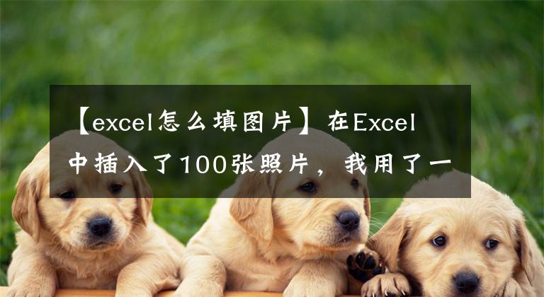 【excel怎么填图片】在Excel中插入了100张照片，我用了一天的时间，同事用了10秒钟就完成了。