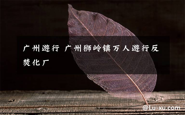 广州游行 广州狮岭镇万人游行反焚化厂
