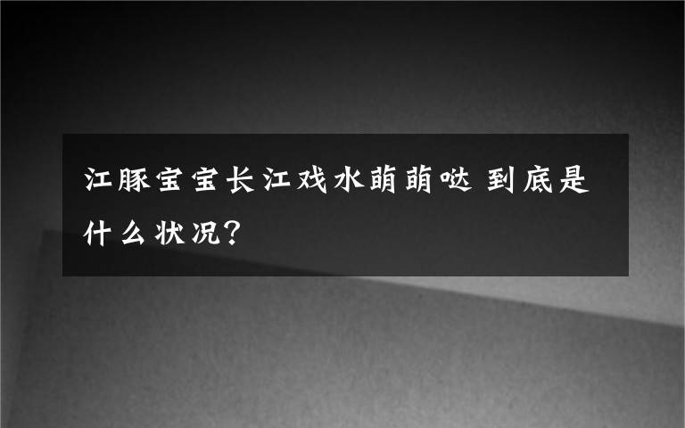 江豚宝宝长江戏水萌萌哒 到底是什么状况？