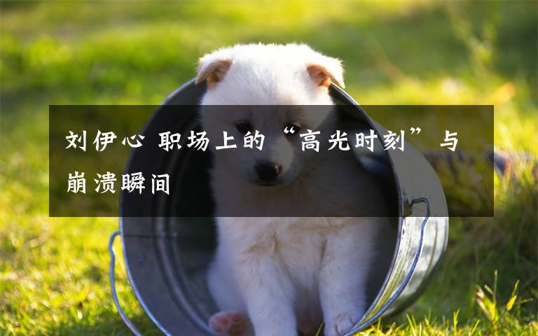 刘伊心 职场上的“高光时刻”与崩溃瞬间