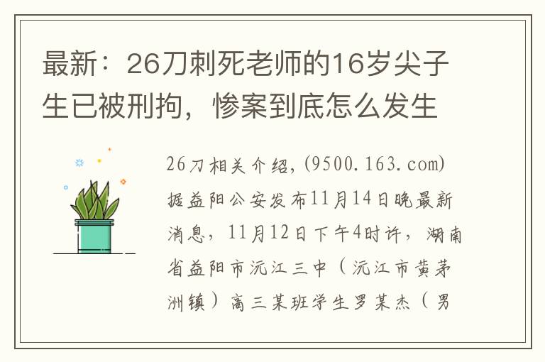 最新：26刀刺死老师的16岁尖子生已被刑拘，惨案到底怎么发生的？
