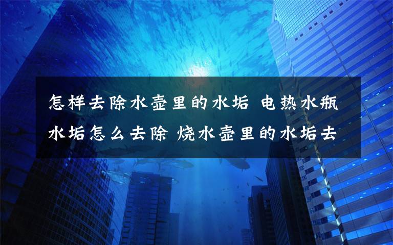 怎样去除水壶里的水垢 电热水瓶水垢怎么去除 烧水壶里的水垢去除方法