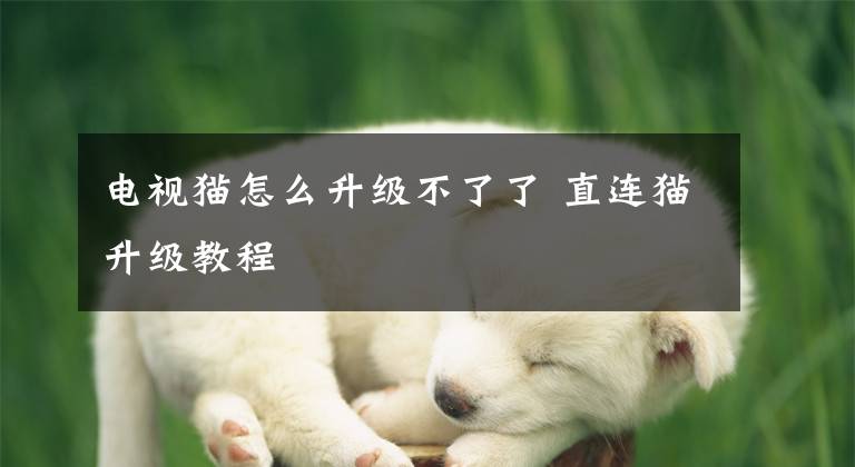 电视猫怎么升级不了了 直连猫升级教程