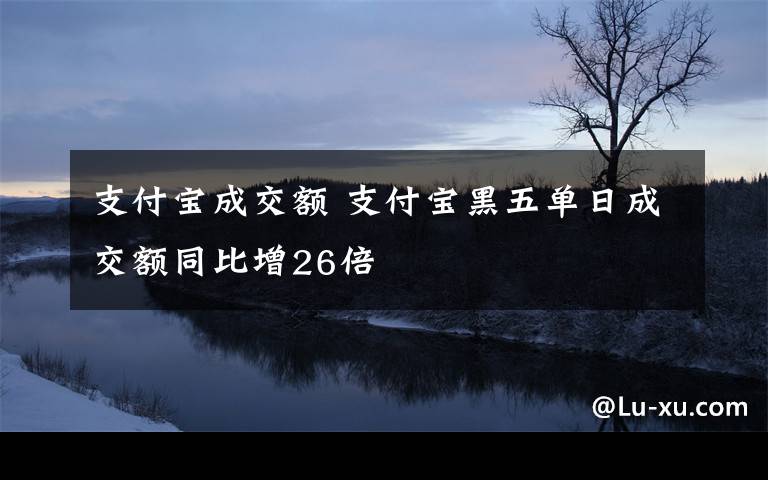 支付宝成交额 支付宝黑五单日成交额同比增26倍