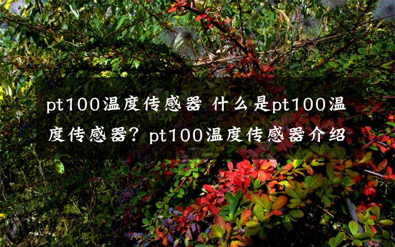 pt100温度传感器 什么是pt100温度传感器？pt100温度传感器介绍【详解】