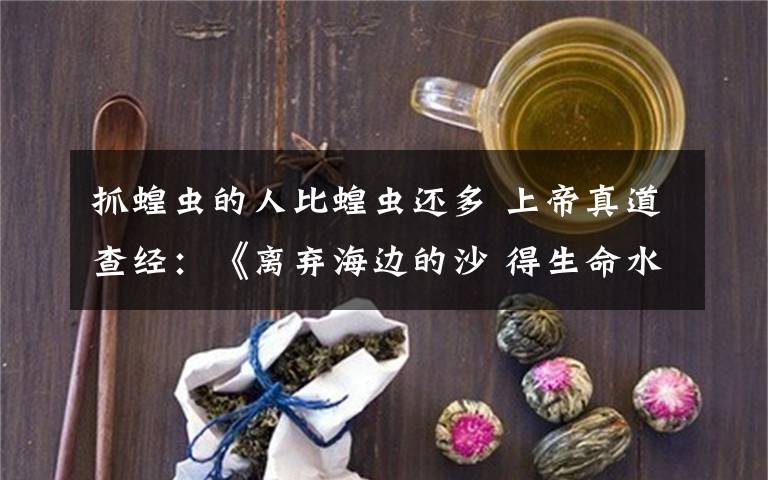 抓蝗虫的人比蝗虫还多 上帝真道查经：《离弃海边的沙 得生命水的泉源》——〈启20:8-9〉