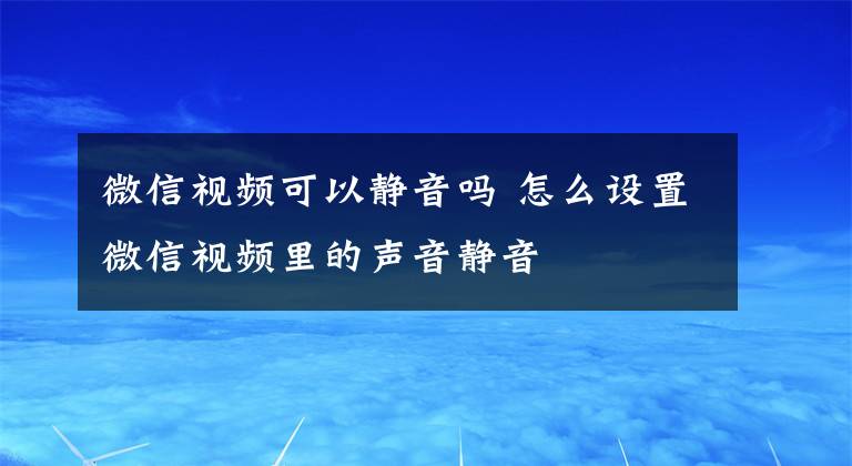 微信视频可以静音吗 怎么设置微信视频里的声音静音