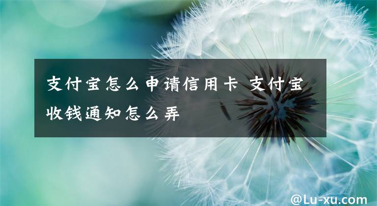 支付宝怎么申请信用卡 支付宝收钱通知怎么弄