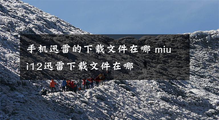 手机迅雷的下载文件在哪 miui12迅雷下载文件在哪