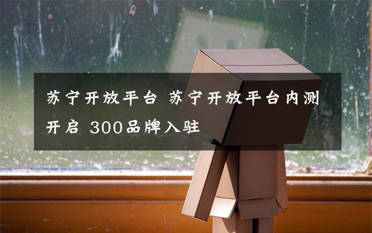 苏宁开放平台 苏宁开放平台内测开启 300品牌入驻