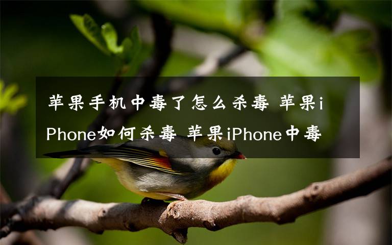 苹果手机中毒了怎么杀毒 苹果iPhone如何杀毒 苹果iPhone中毒了怎么办【详解】