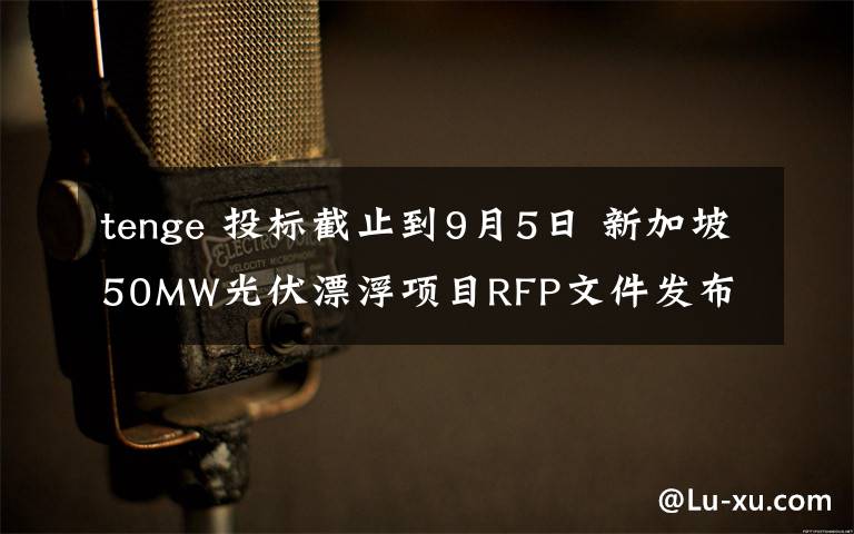 tenge 投标截止到9月5日 新加坡50MW光伏漂浮项目RFP文件发布