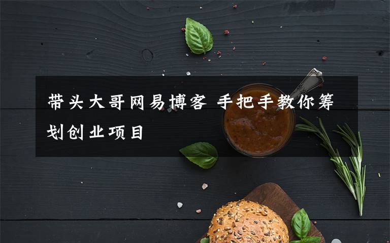 带头大哥网易博客 手把手教你筹划创业项目