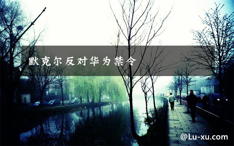 默克尔反对华为禁令