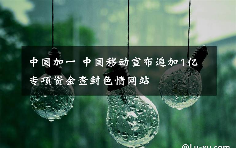 中国加一 中国移动宣布追加1亿专项资金查封色情网站