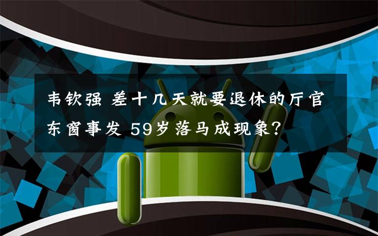 韦钦强 差十几天就要退休的厅官东窗事发 59岁落马成现象？