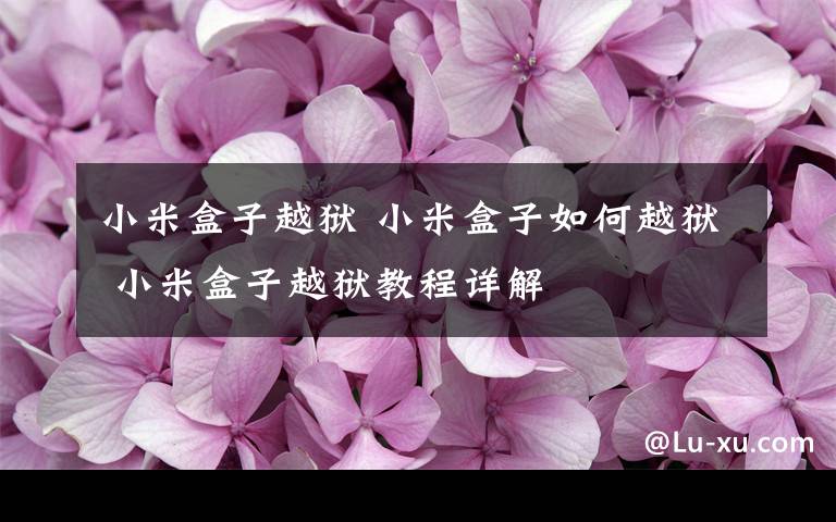 小米盒子越狱 小米盒子如何越狱 小米盒子越狱教程详解