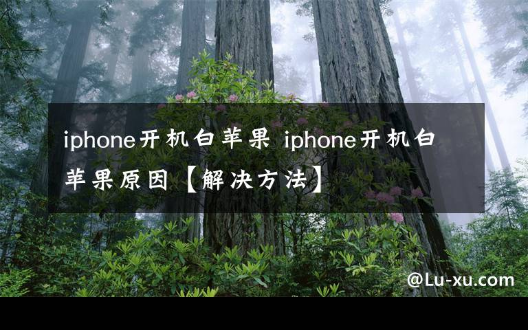 iphone开机白苹果 iphone开机白苹果原因【解决方法】
