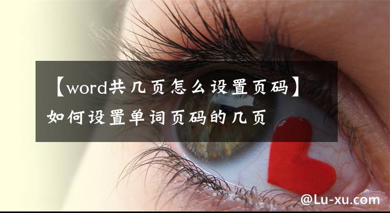【word共几页怎么设置页码】如何设置单词页码的几页