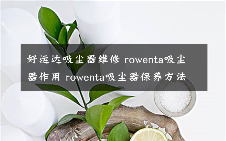 好运达吸尘器维修 rowenta吸尘器作用 rowenta吸尘器保养方法【详解】