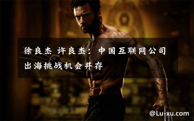 徐良杰 许良杰：中国互联网公司出海挑战机会并存