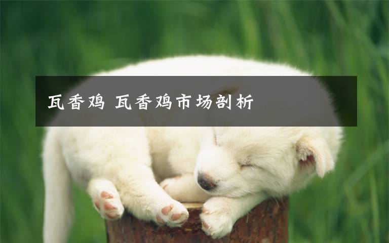 瓦香鸡 瓦香鸡市场剖析