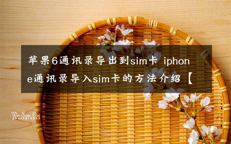 苹果6通讯录导出到sim卡 iphone通讯录导入sim卡的方法介绍【图文】