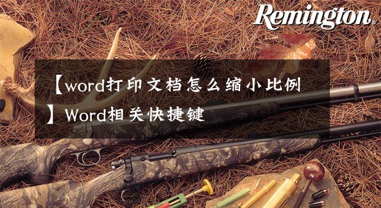 【word打印文档怎么缩小比例】Word相关快捷键