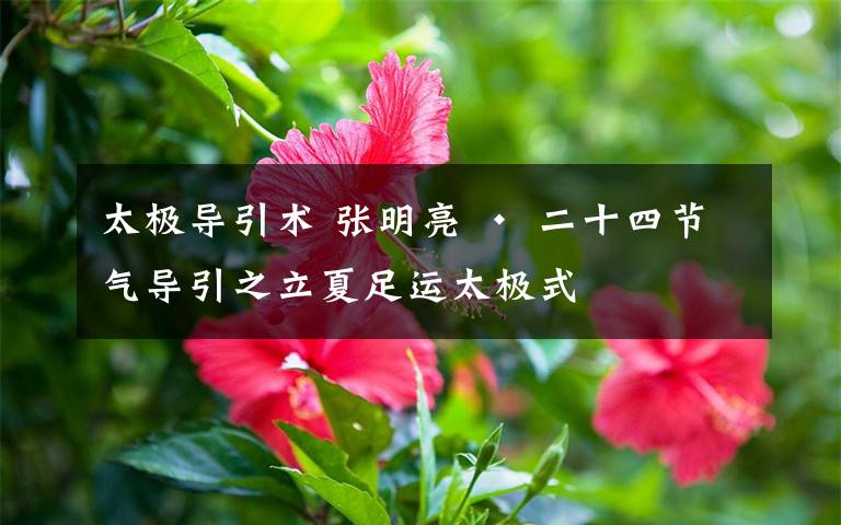 太极导引术 张明亮 • 二十四节气导引之立夏足运太极式