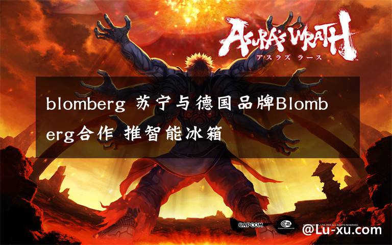 blomberg 苏宁与德国品牌Blomberg合作 推智能冰箱