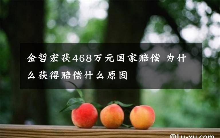 金哲宏获468万元国家赔偿 为什么获得赔偿什么原因