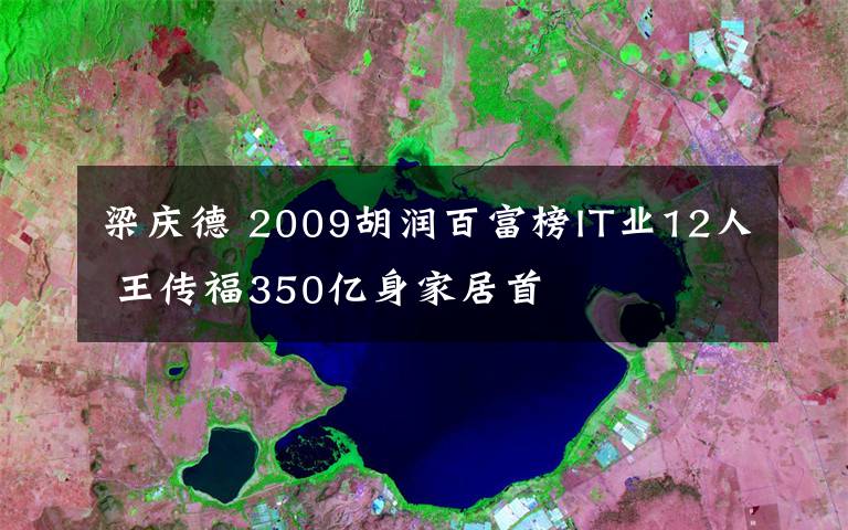 梁庆德 2009胡润百富榜IT业12人 王传福350亿身家居首