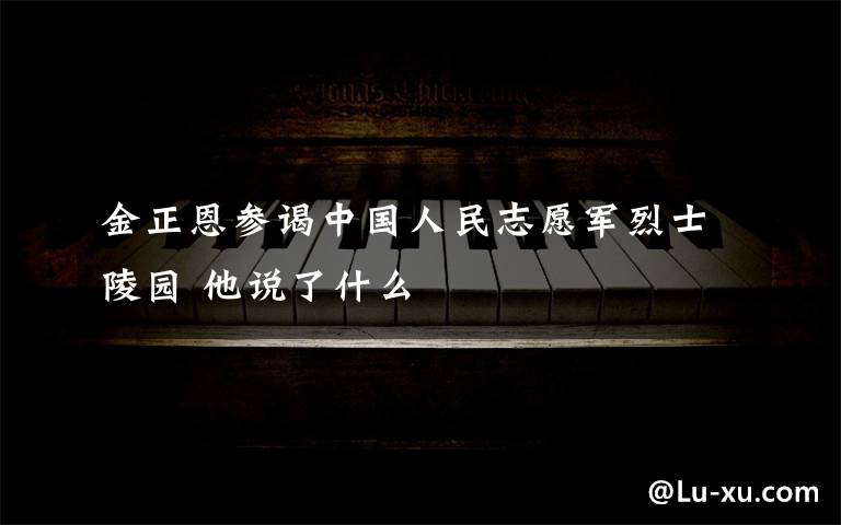 金正恩参谒中国人民志愿军烈士陵园 他说了什么